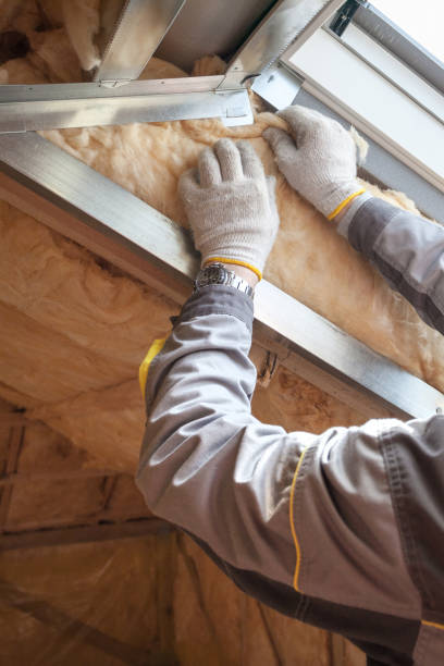 Best Spray Foam Insulation in Ol, LA