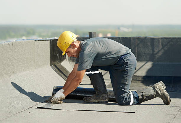 Best Eco-Friendly Insulation in Ol, LA